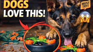 15 Brain Games That Calm Hyper German Shepherds