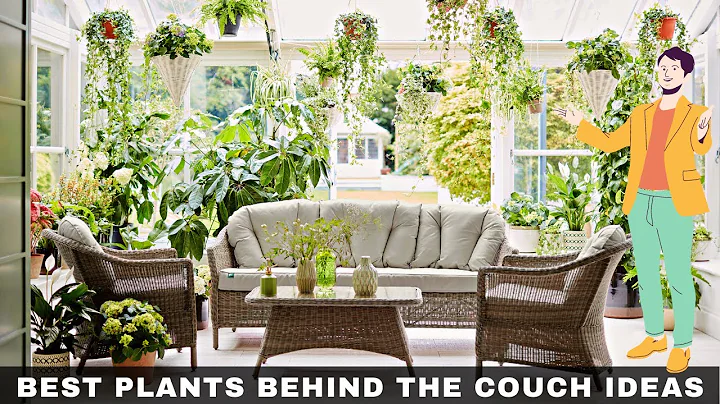 17 Best Plants Behind the Couch Ideas | How to Style Your Home with Indoor Plants 2023
