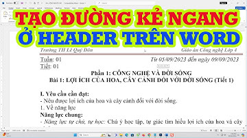 Bí Quyết Tạo Đường Kẻ Header và Footer trong Word