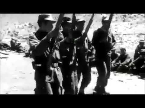 علاوي دارة أولاد نهار ابان الثورة التحريرية خلا نجاحهم في المواجهات العسكرية