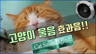 고양이 울음 소리 효과음!!  Cat Sound Effect!! [저작권 없는 무료 효과음] -무료 다운로드- screenshot 5