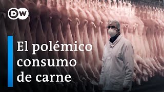 Industrial livestock farming, animal welfare and the future of modern agriculture | DW Documentary
