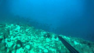FILE0053
