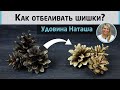 Как отбеливать шишки? Эксперимент с удачным исходом от Удовиной Наташи.