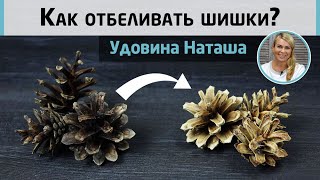 How to bleach pine cones? An experiment with a successful result.