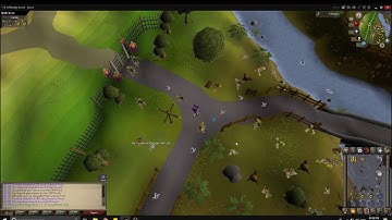Talk to cassie in falador easy clue scroll