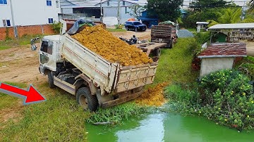 Nicely Start New Landfill!! Transforming a Landfill Dumping & Dozer in Action