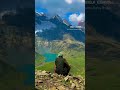 Heaven 🥰 #kashmir #kgl #trekk #view