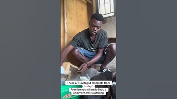 Every bit of your support counts click on the links in our bio to donate for any support #help #cat