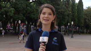 O Procon-PR realiza, um mutirão online para...