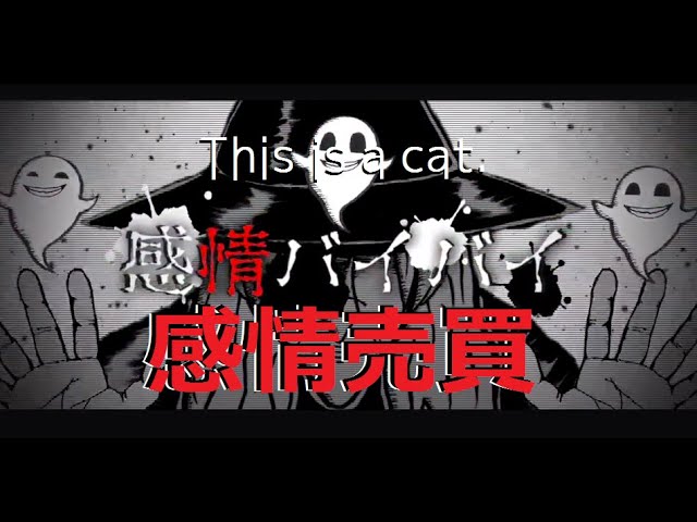 This is a cat.『感情バイバイ』MUSIC VIDEO