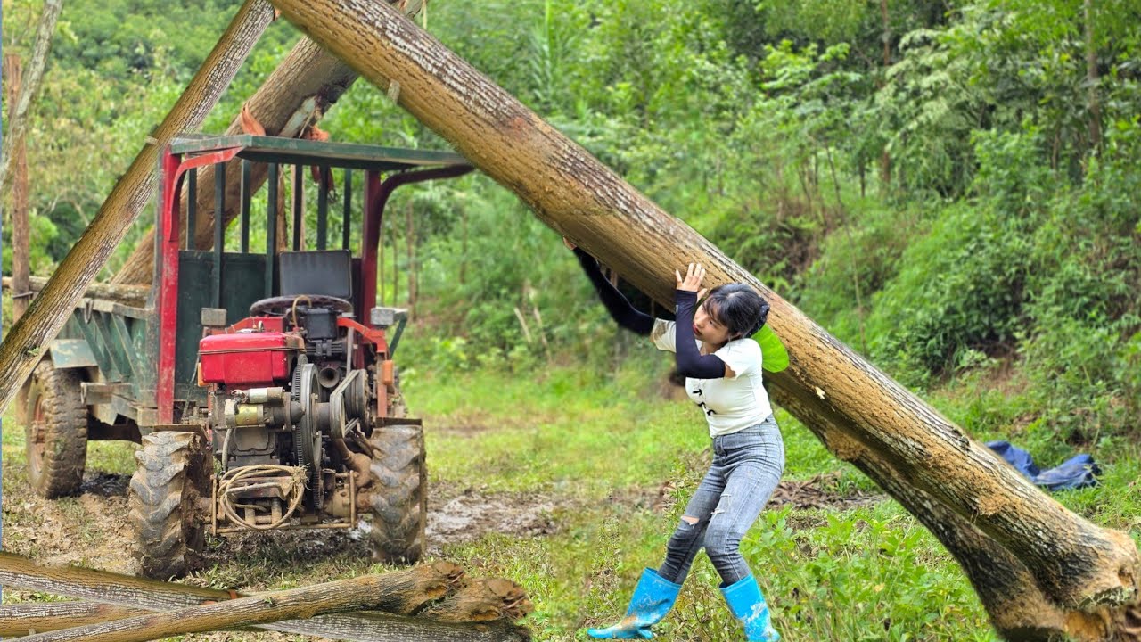 Agricultural vehicles and porter girls transporting wood is extremely difficult