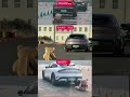 😱The ultimate challenge in# automatic braking systems:# Porsche vs. Xiaomi vs. Avatar 🔥🚗