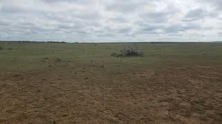Video of plots for sale in Narok Kenya