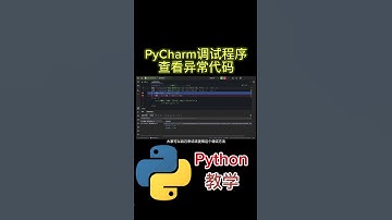 PyCharm调试程序 查看异常代码 #python tutorial #python #python教学 #python编程  #python入门 #coding #基础代码
