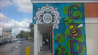 The Grand Opening for Your CBD Store Tampa!