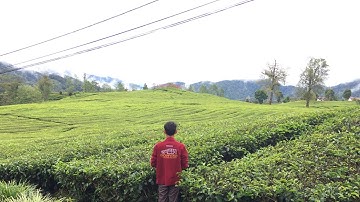 DJ ANGKLUNG FULL ALBUM SLOW TERBAIK ] DJ BARAT VIRAL FULL BASS 2020 - 2021