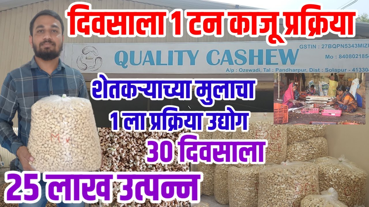 शेतकऱ्याच्या मुलाचा पंढरपूर मध्ये काजू प्रक्रिया उद्योग,30 दिवसाला 25 लाख उत्पन्न,cashew_processing