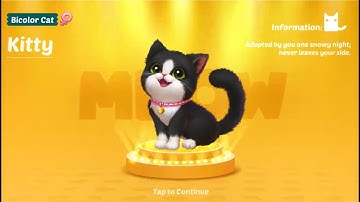 Main kucing - kucingan dari game kitten match, asli kucingnya lucu, permainannya juga mudah, cobain!