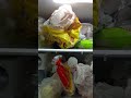 Hitachi Refrigerator Ice Coming Led Site /Pankaj.Up56