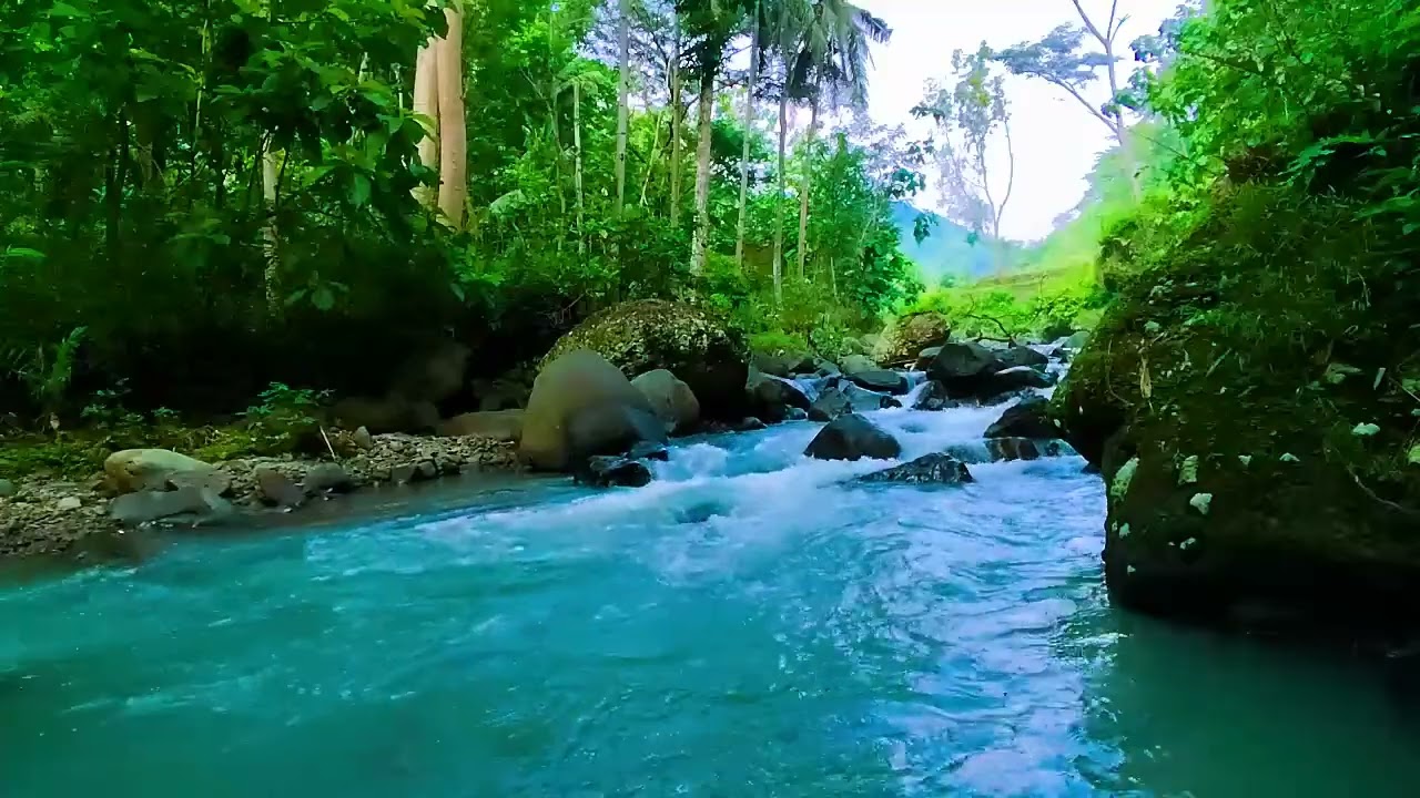 Ambient Water Sounds of a Flowing Stream | Nature White Noise for Sleep, Focus, and Healing