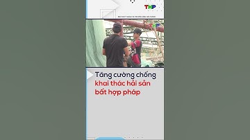 Tăng cường chống khai thác hải sản bất hợp pháp