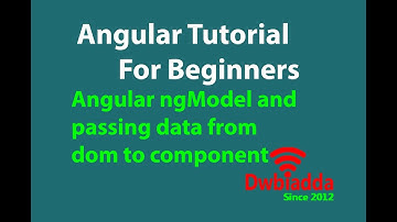 Angular ngModel and passing data from dom to component | Angular tutorial