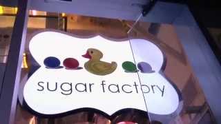 Sugar Factory Hollywood Grand Opening