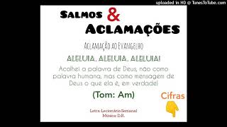 Vídeo de ALELUIA - ACOLHEI A PALAVRA DE DEUS