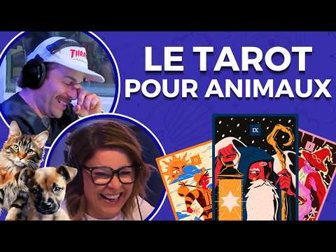 🔮Nouveauté dans les séances de voyance à Séoul: Le tarot pour animaux!