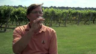 Premier Wines | Eveningside Vineyard
