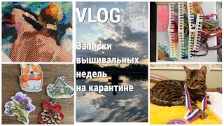 VLOG: 20.000 крестиков за 11 дней,  Mill Hill, Афремов, самоизоляция и Майские праздники