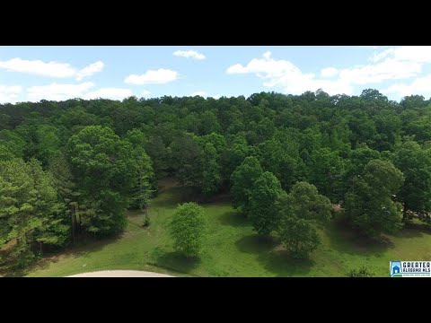1 BROOKVIEW LN 1, Helena, AL home video tour