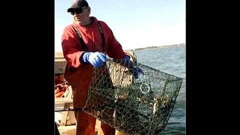Rex O'Neal: Gigging Flounders
