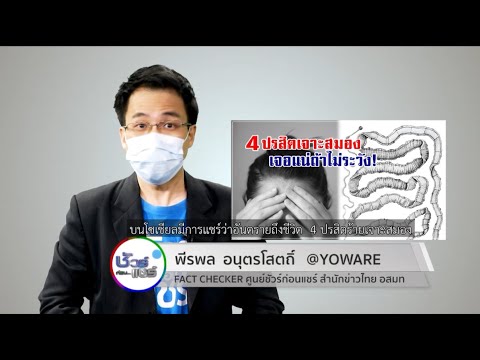 วีดีโอ: ปรสิตในข่าว – คุณควรกังวลเกี่ยวกับตัวเองหรือสัตว์เลี้ยงของคุณหรือไม่?