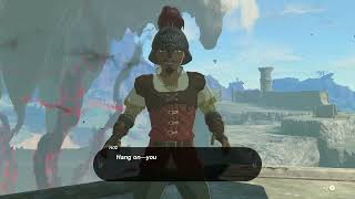 Finding Hoz [The Legend of Zelda:  Tears of the Kingdom] Content