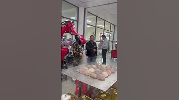 #borunte #welding #spraying #robot #industrial #collaborative #industrialrobot