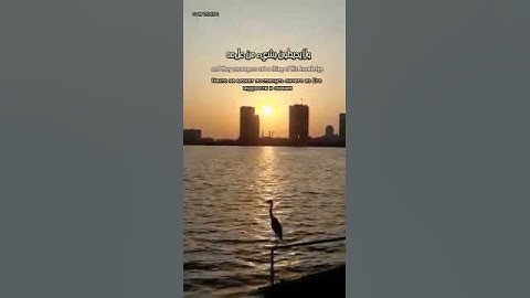 الله لا اله الا هو الحي القيوم #أية_الكرسي #اسلام_صبحي #قرآن #سورة_البقرة