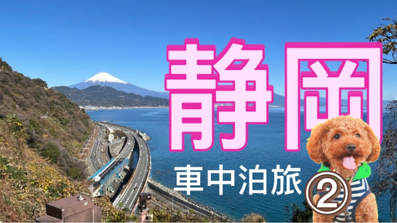 【愛犬と静岡旅②】富士山と世界遺産巡り駿河路車中泊旅行に行ってきたよ！