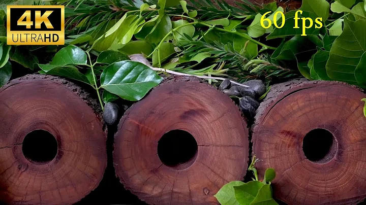 Cat games mouse hide & seek, squeaking and playing for cats to watch  8 hour cat tv 4k 60fps