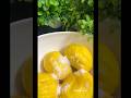 Ghotache Sasav without coconut | Mango Sasav | Mango sasav | Quick and Tasty | Sweet and Spicy mango