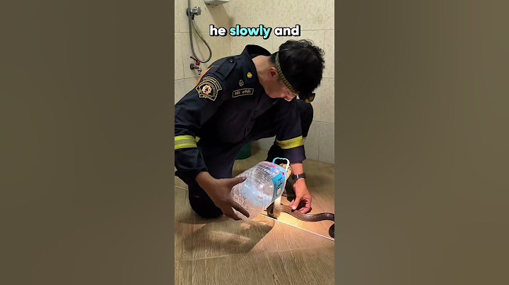 This Firefighter Calmly Handles a Cobra Like a Pro😍