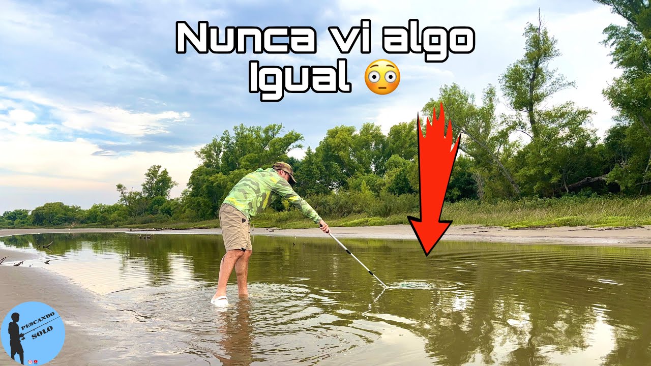 PESCA Y COCINA A ORILLAS DEL RÍO, bogas y vieja del agua (pez diablo) 