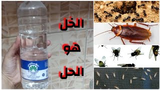 اقوي الحلول للتخلص من الحشرات المنزليه بدون مبيدات كيماويه لصيف مريح?