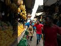 🐵 Banana Thief Monkey Caught on Camera! 😂🍌 #trending #foryou #shortsfeed