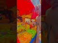 Kulineran Makanan Khas Kalimantan #kalimantan #kuliner #fyp #review #makanan #shorts #tiktok #video