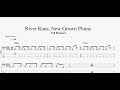 Neil Diamond River Runs New Grown Plums Bass Tab mp3