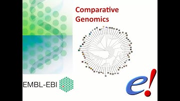 Virtual Workshop - The Ensembl Genome Browser - (2021): Webinar 4 - Comparative Genomics