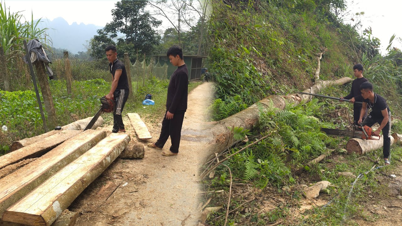 Thanh was looking for carpenters to design the house, and the old man helped cut wood to build it.