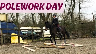 FIRST POLEWORK SESSION WITH MY NEW HORSE